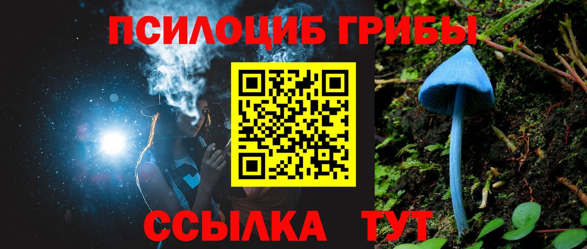 Псилоцибиновые грибы мицелий Электрогорск