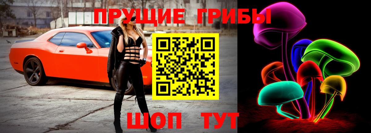Электрогорск  Галлюциногенные грибы мухоморы  Вход с VPN 